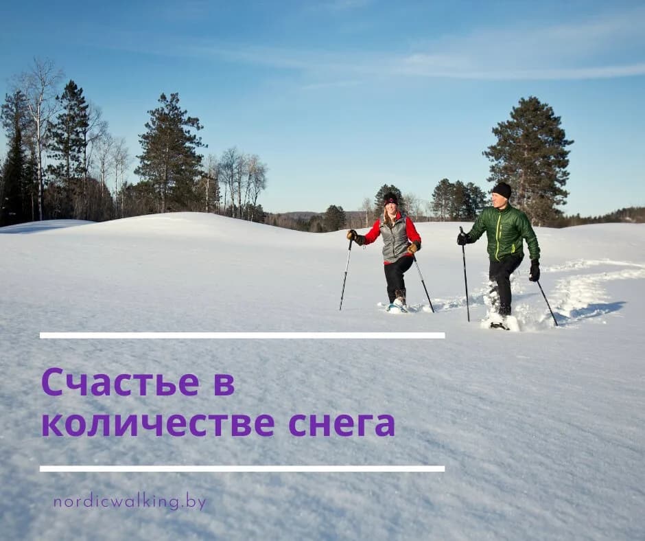 «Школа скандинавской ходьбы»