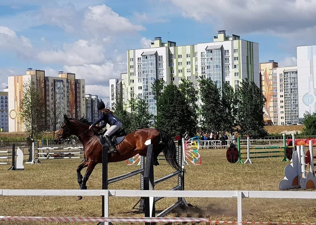 Брестский областной центр олимпийского резерва по конному спорту