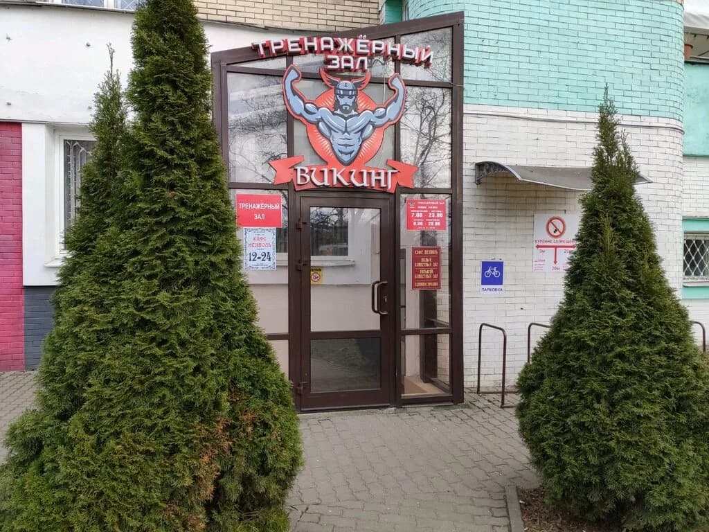 Тренажёрный зал Викинг — фото 4