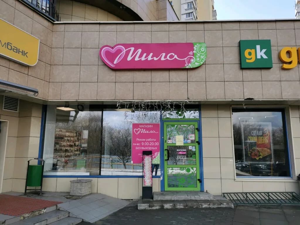 Мила — фото 2