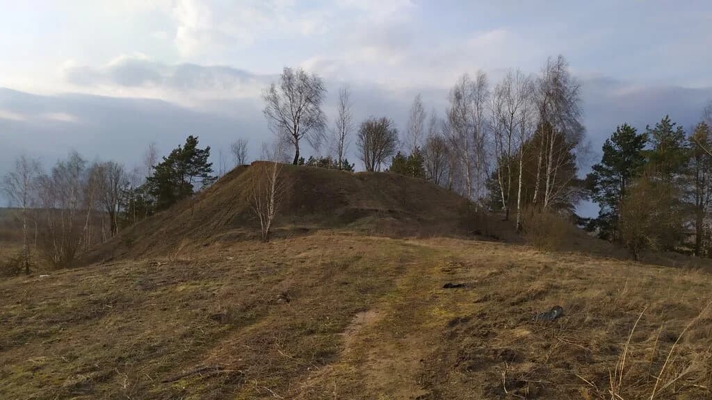 Городище эпохи раннего железного века — фото 5