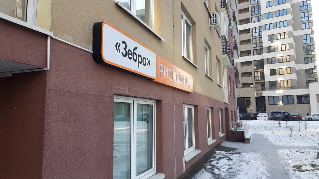 Зебра — фото 2