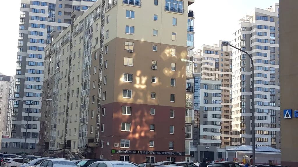Зебра — фото 6