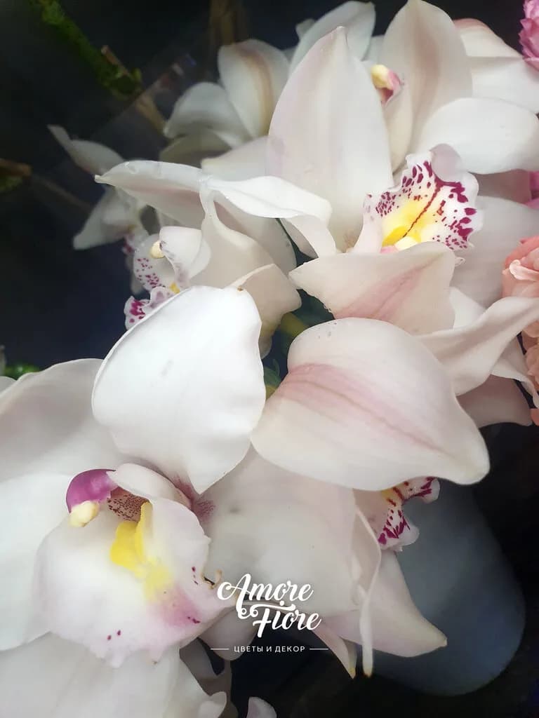 Amore Fiore — фото 6