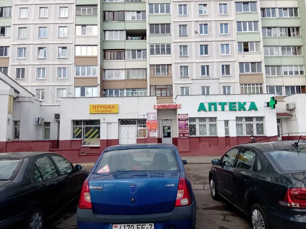 Птушка — фото 2