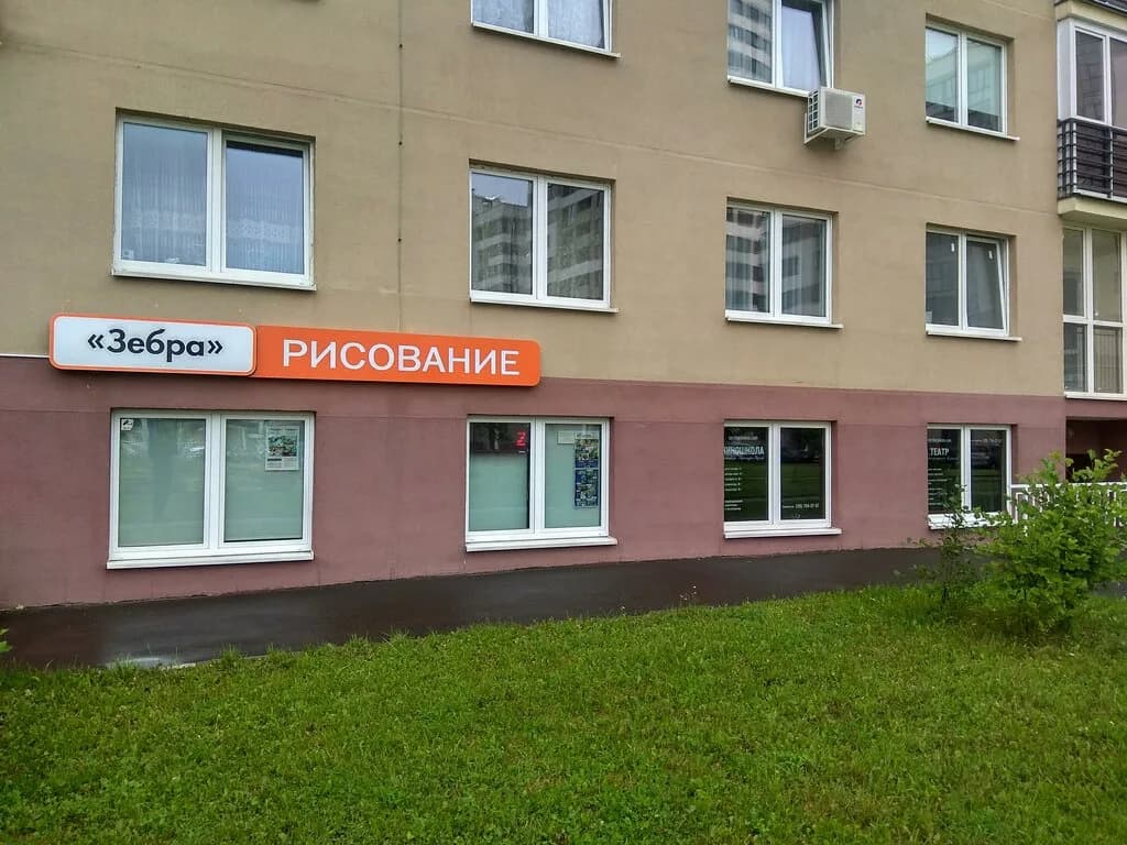 Зебра — фото 4