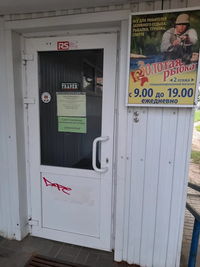Золотая рыбка — фото 3