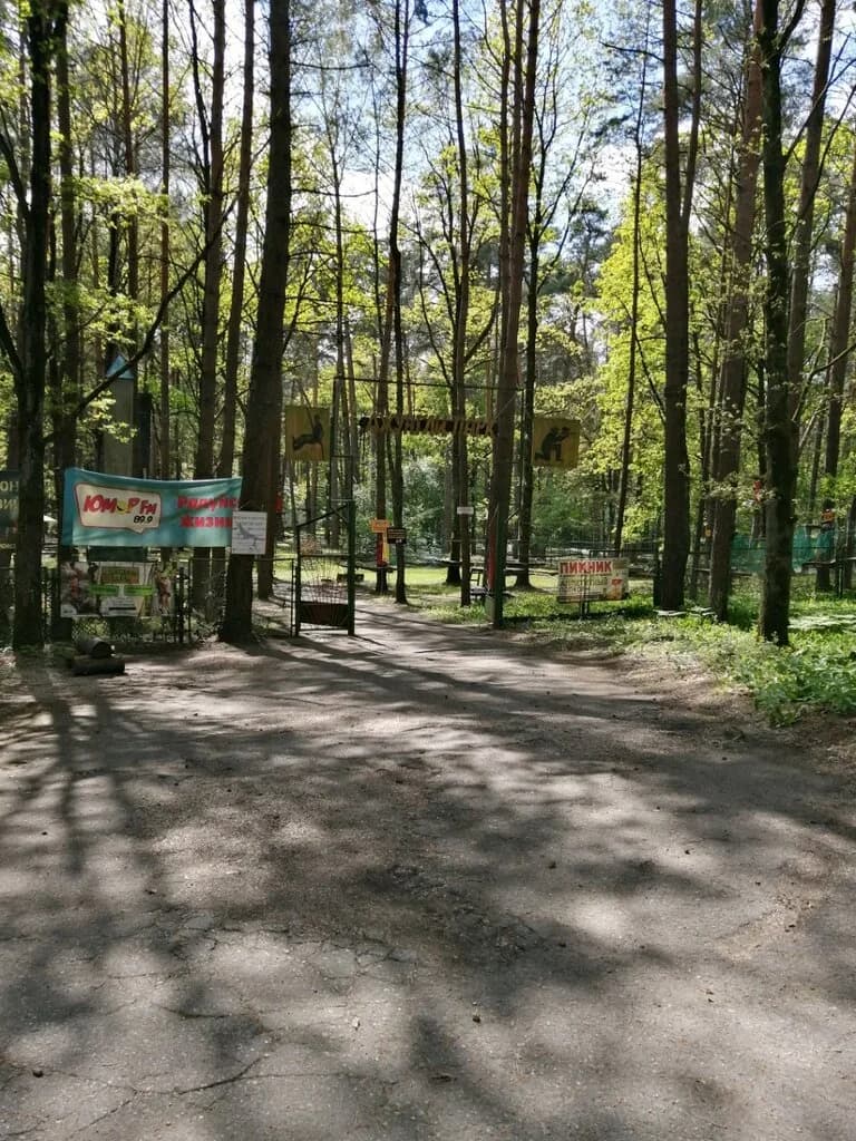 Джунгли парк — фото 2