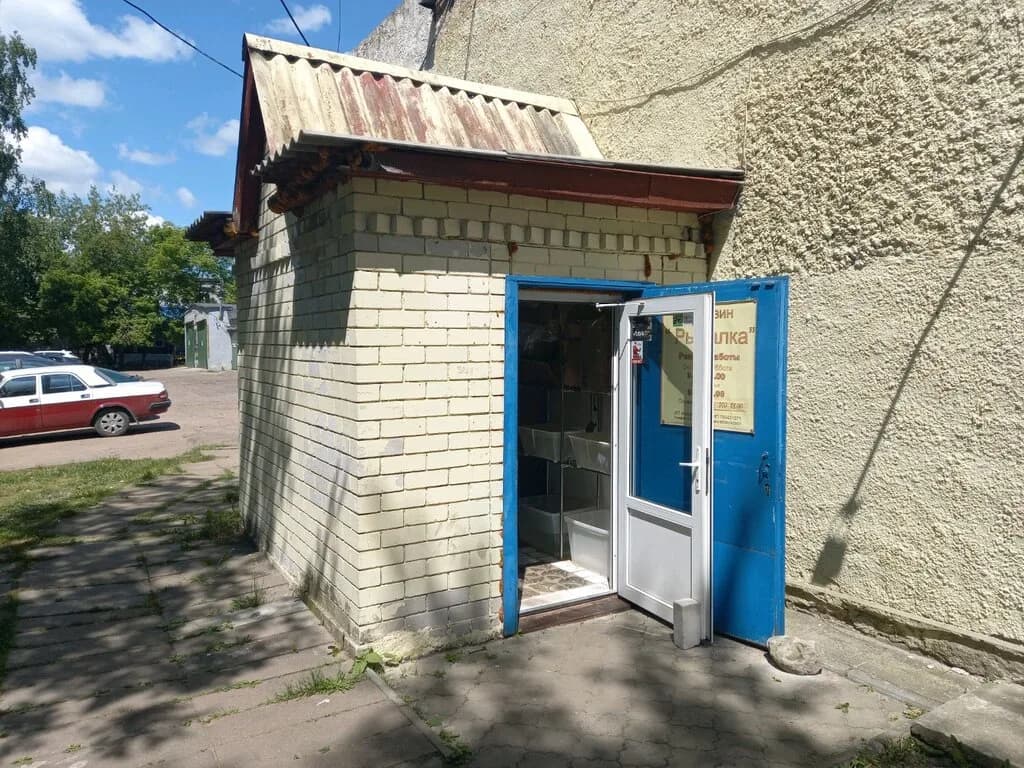 Рыбалка — фото 2