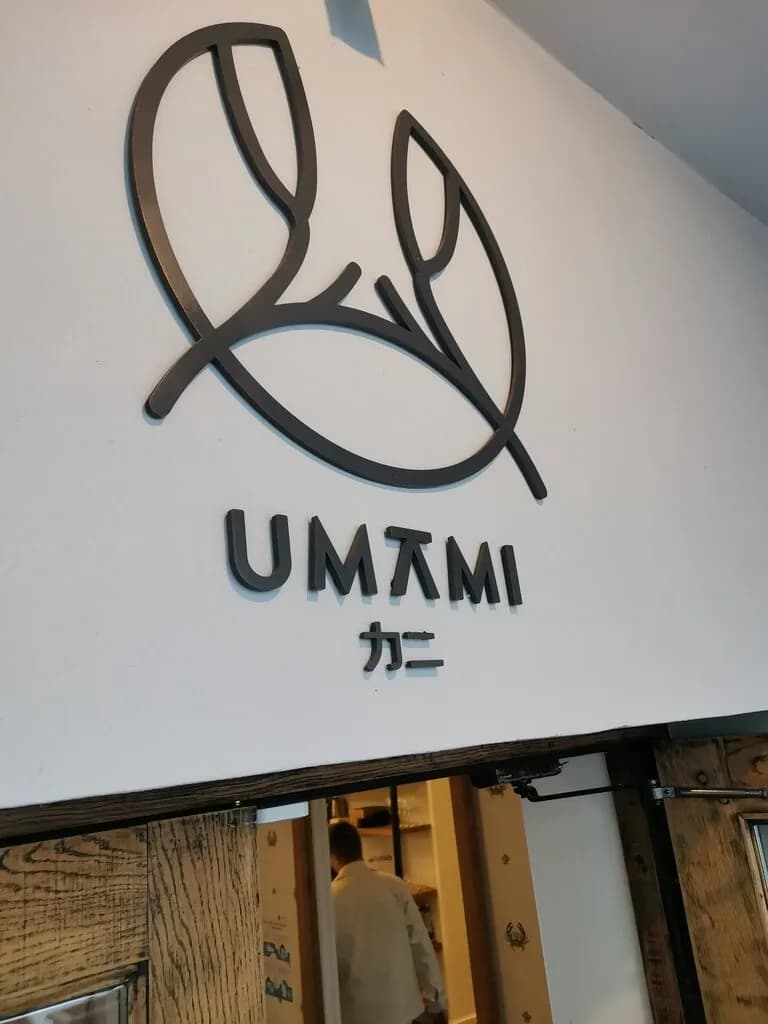 Умами Необистро — фото 5