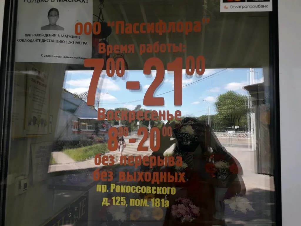 Пассифлора — фото 4