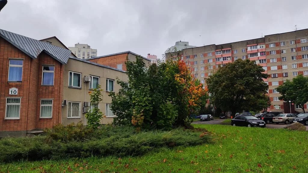 Курсы интернет-маркетинга Weblising — фото 5
