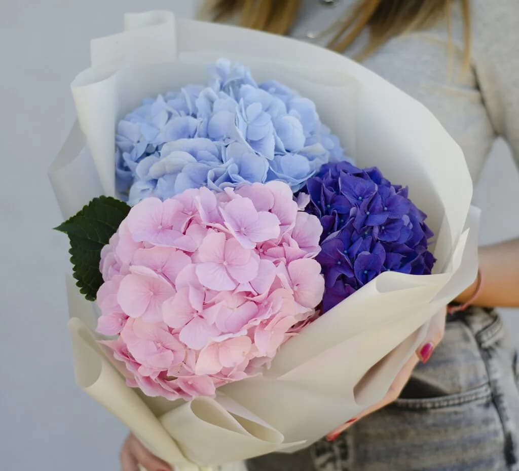 MixFlowers.by — фото 6