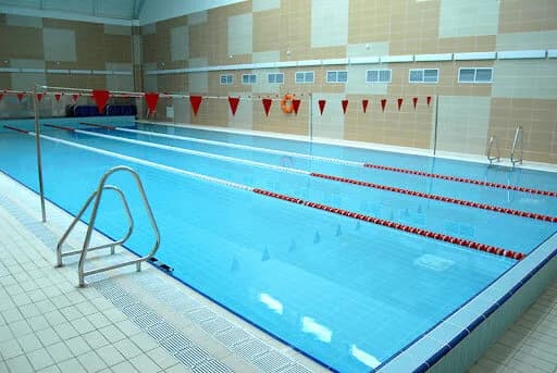 DodoSwim