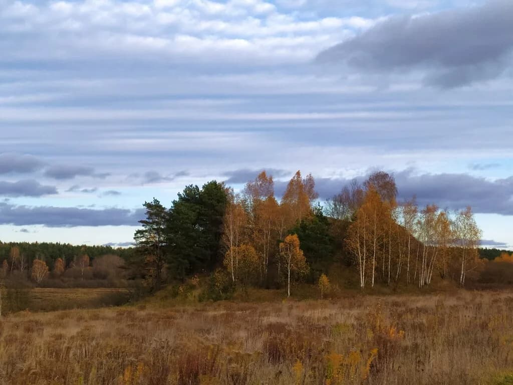 Городище эпохи раннего железного века — фото 6
