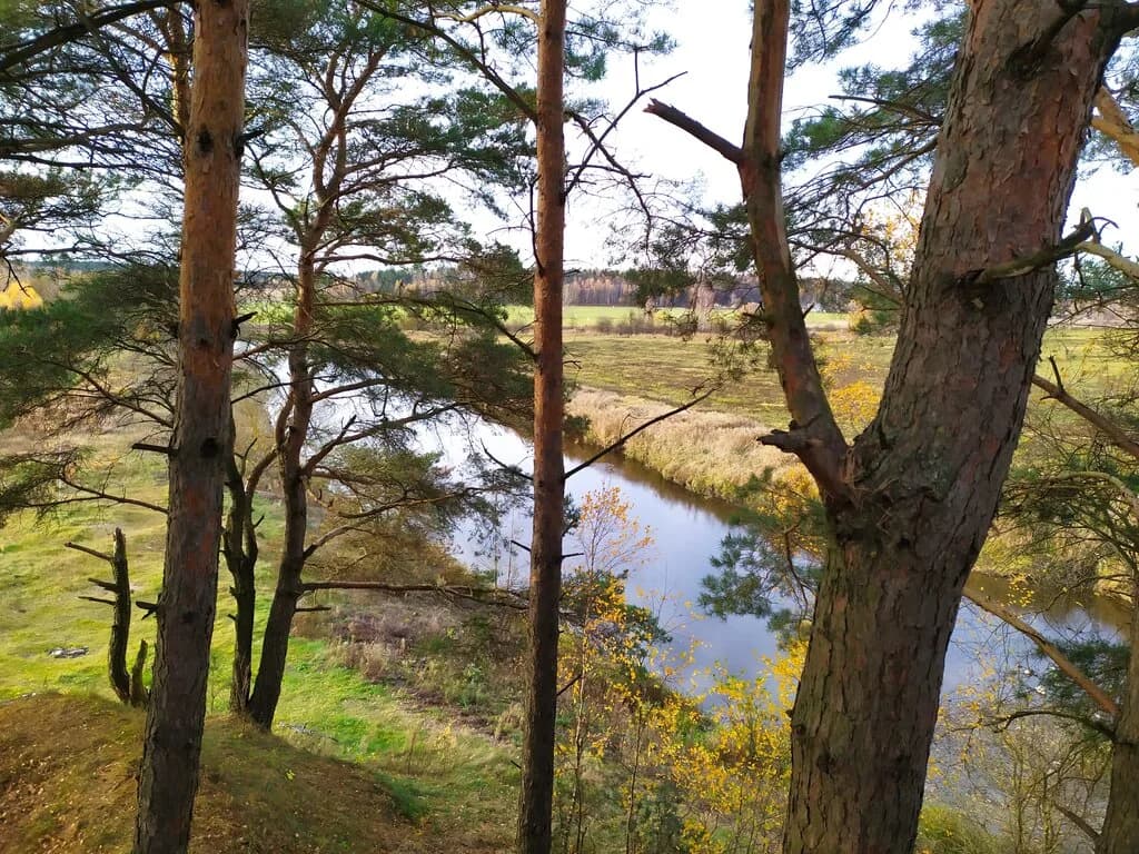 Городище эпохи раннего железного века — фото 2