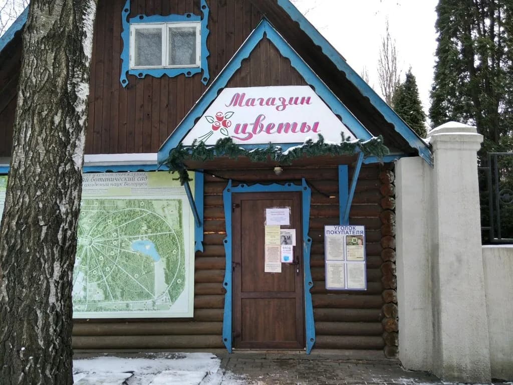 Цветы