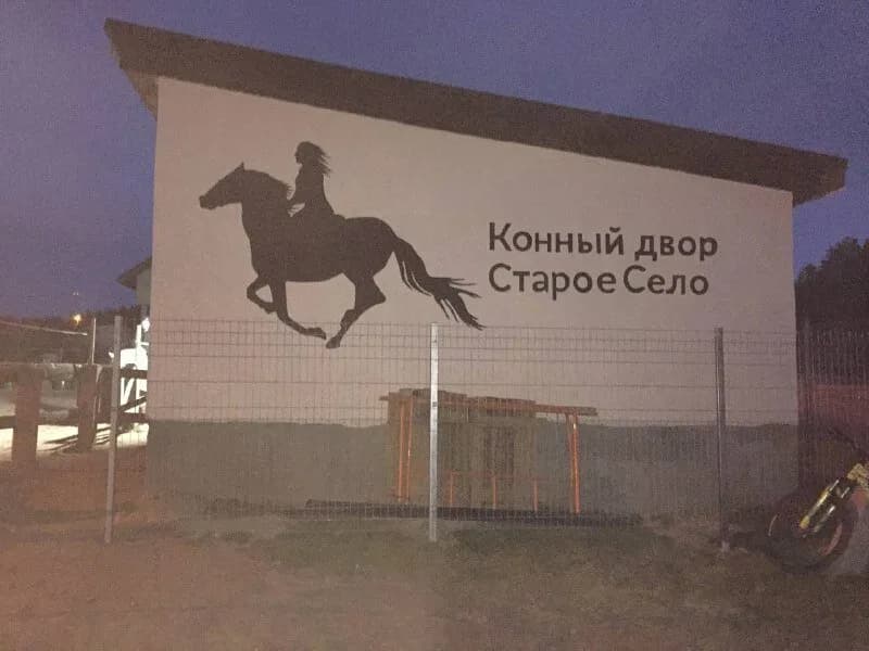 Конный двор Старое Село — фото 2