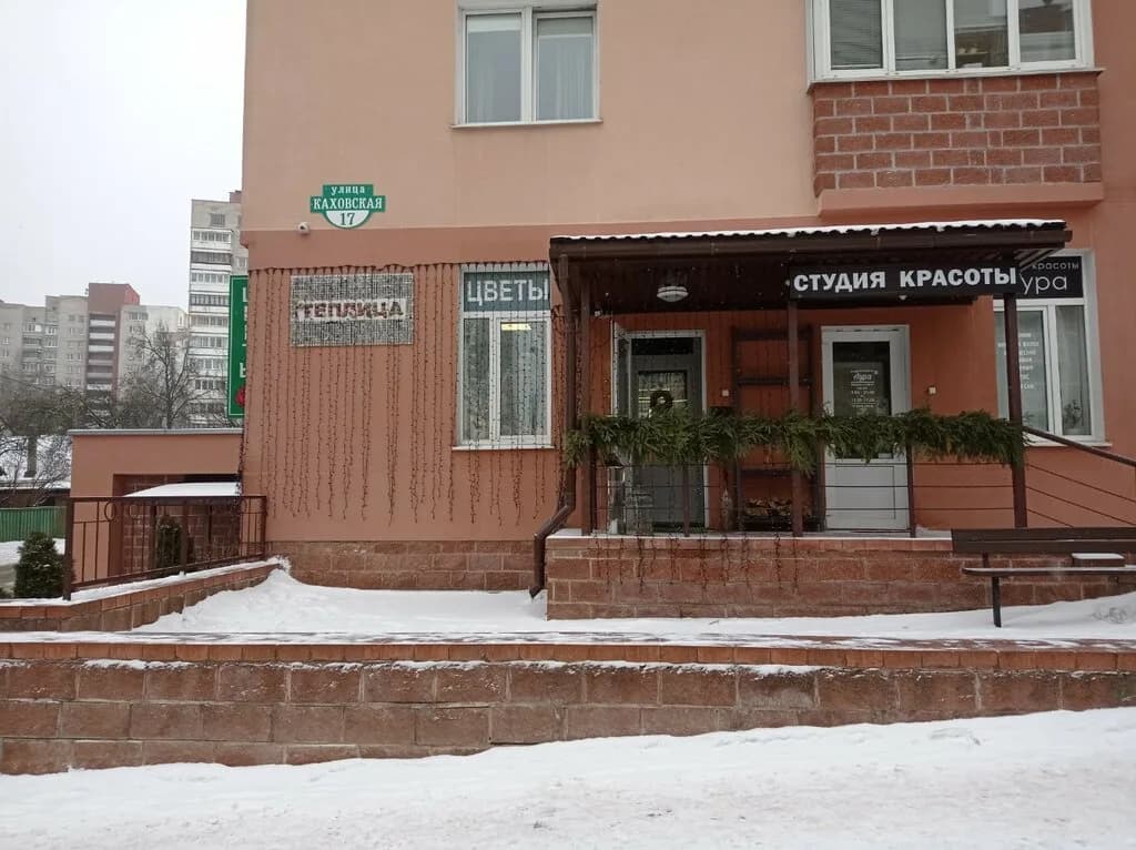 Теплица — фото 4