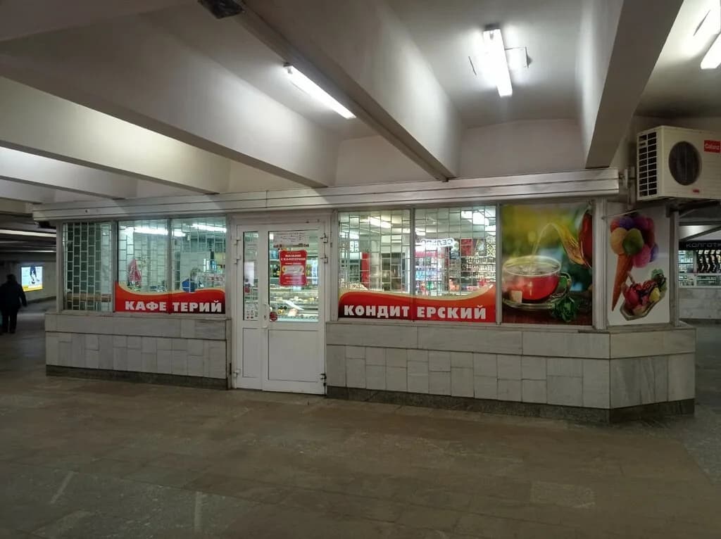 Сова — фото 4
