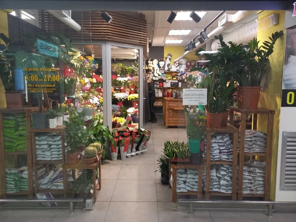 Городские цветы