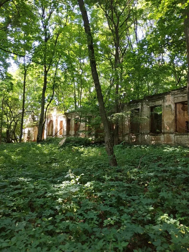 Усадьба Обуховичей — фото 5