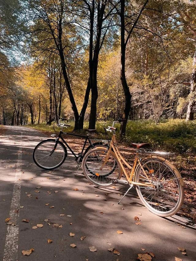 Кронон Парк Отель — фото 2