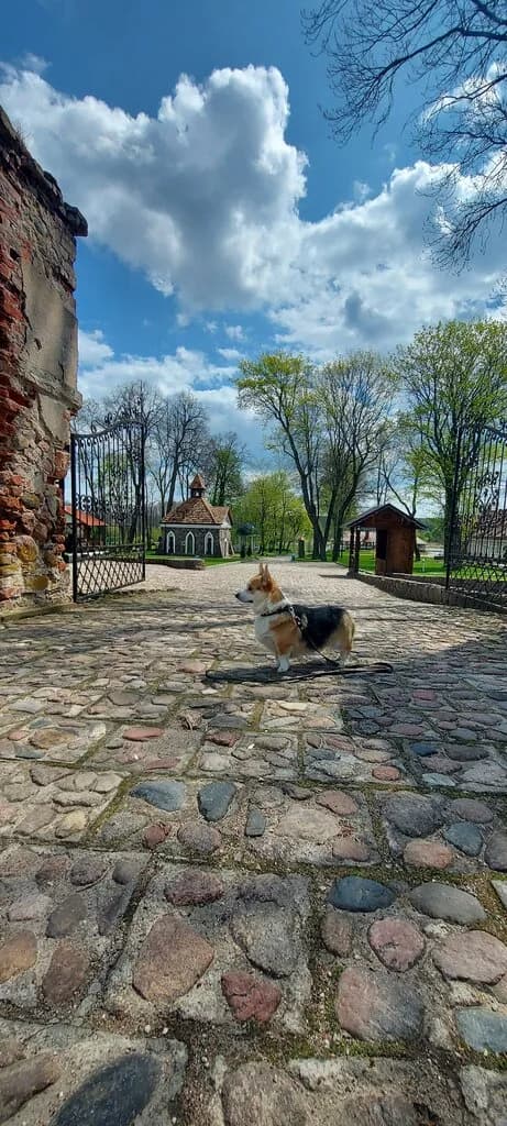 Усадьба Каролинский фальварок Тызенгауза — фото 6