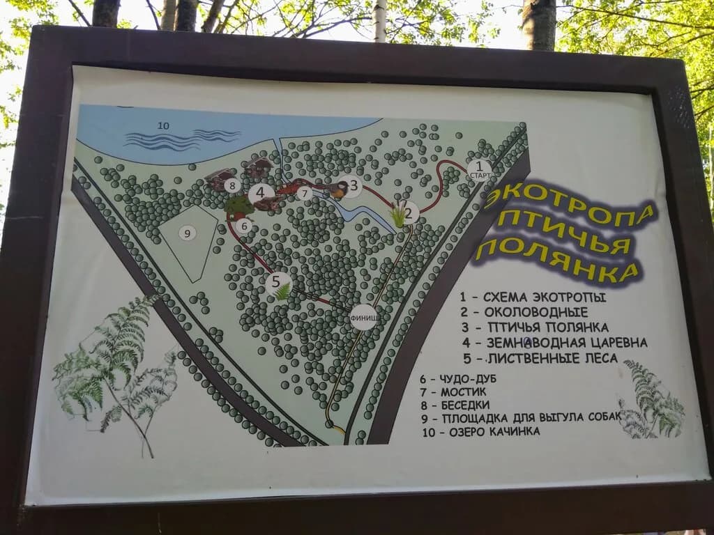 Экотропа Птичья полянка — фото 3