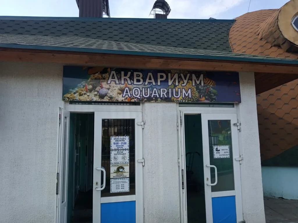 Аквариум — фото 6