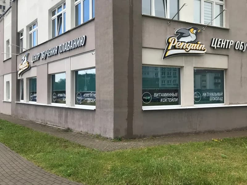 Три пингвина