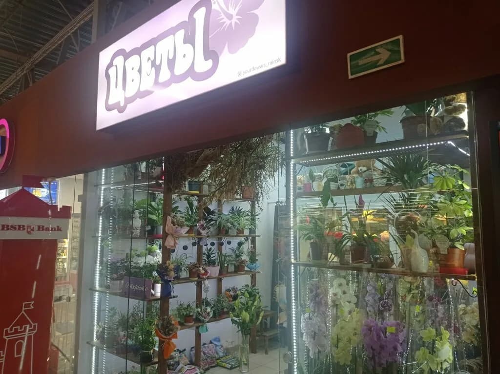 Цветы