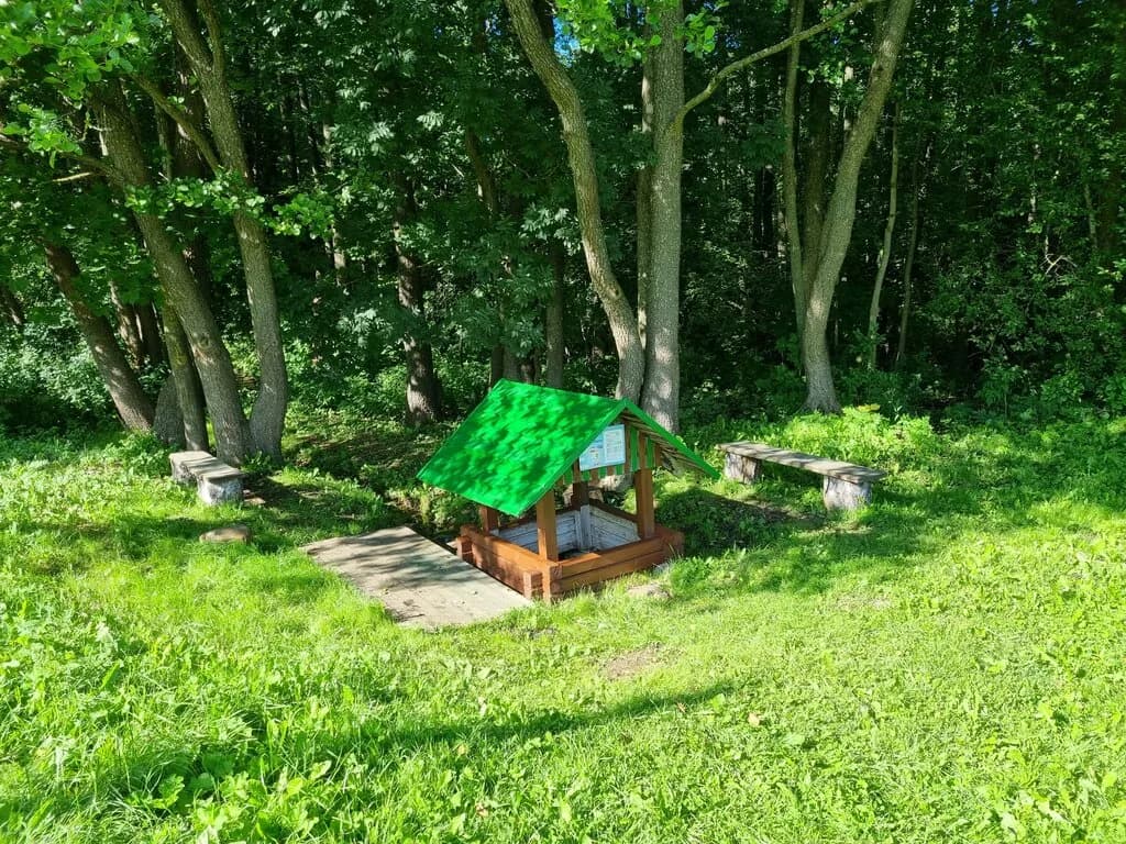 Криница Богдановича — фото 5