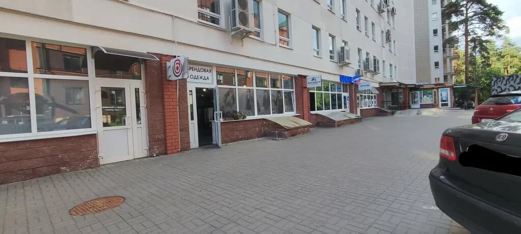 Дикобраз