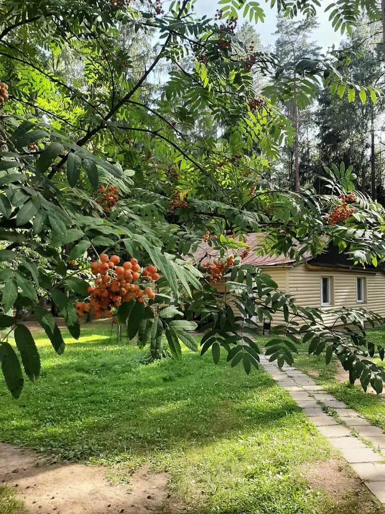 База отдыха «Жуков Луг» — фото 3