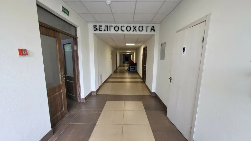 Белгосохота