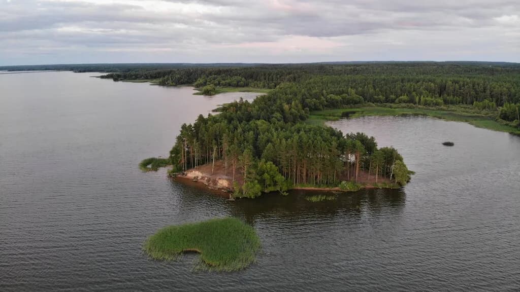 Берлога — фото 4