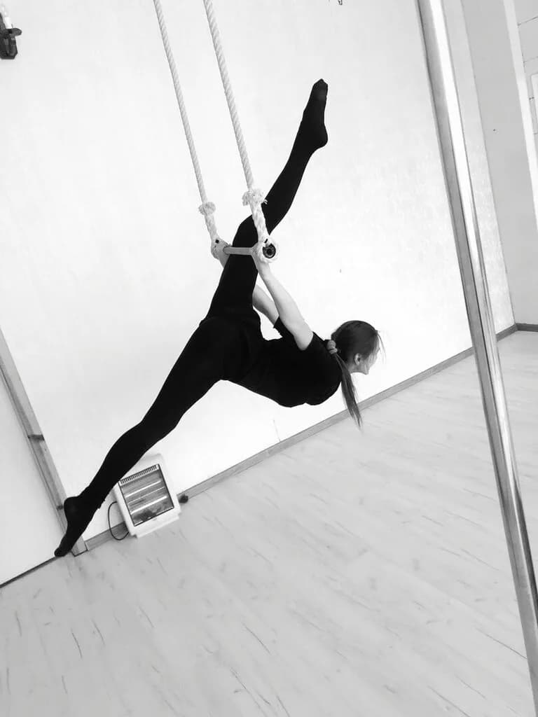 Школа танцев «Pole Esthetics (Поул Эстетикс)» — фото 6