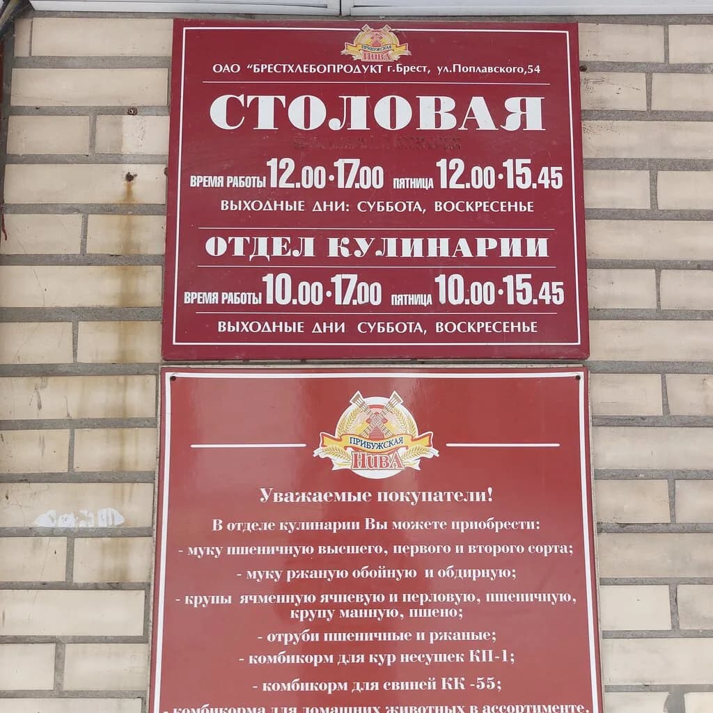 Прибужская Нива — фото 3
