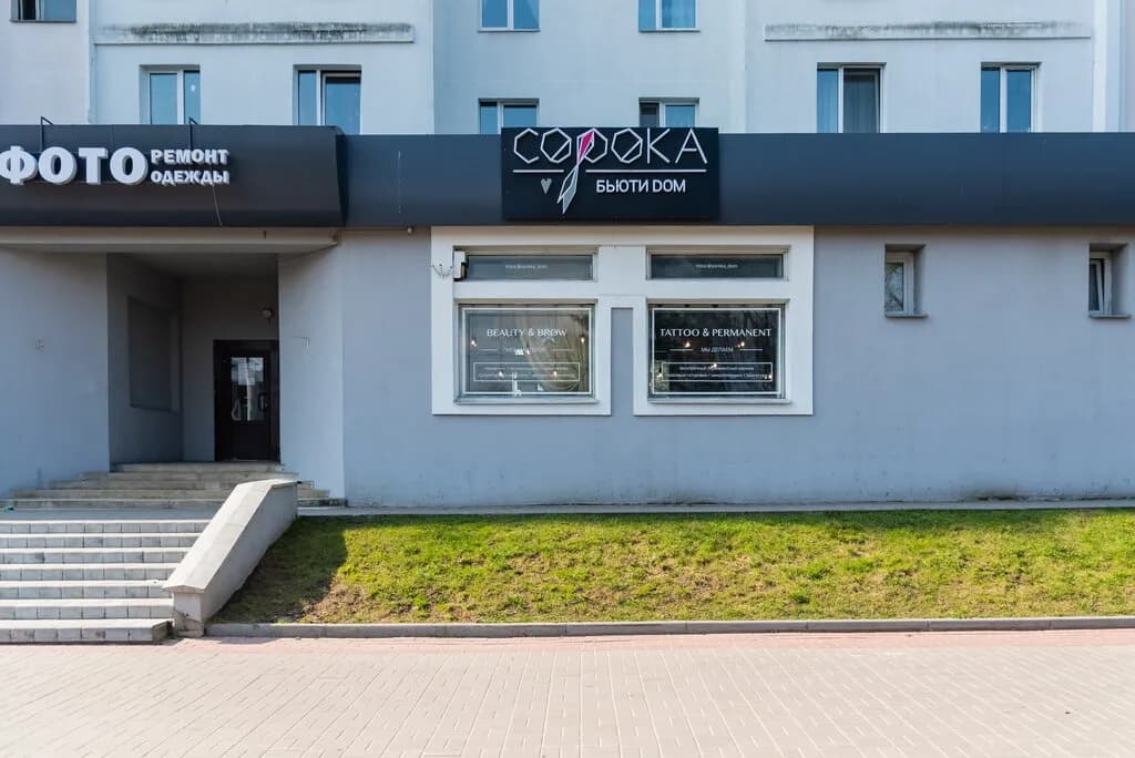 Сорока