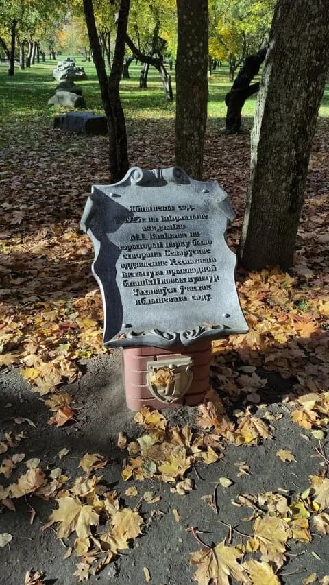 Яблоневый сад
