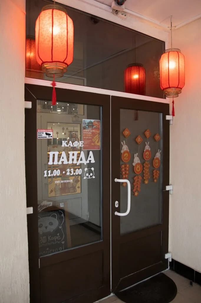 Панда — фото 6