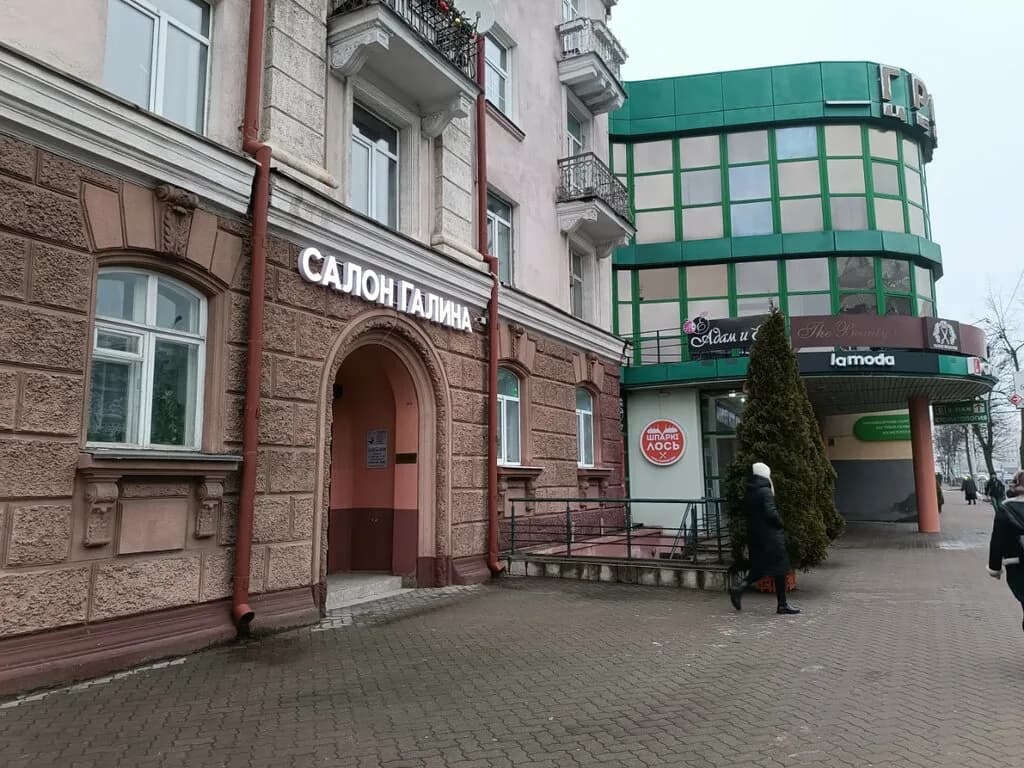 Шпаркі лось — фото 4