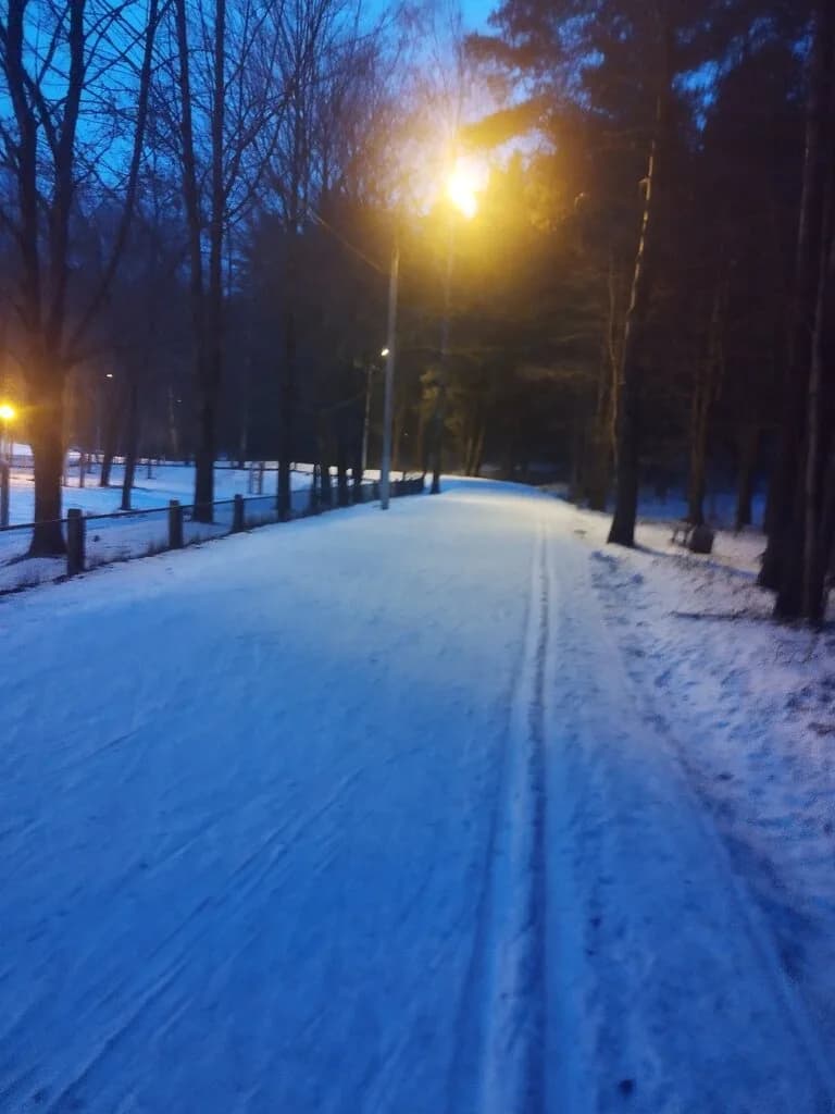 Лыжная трасса