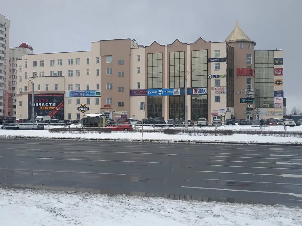 Пчела — фото 6