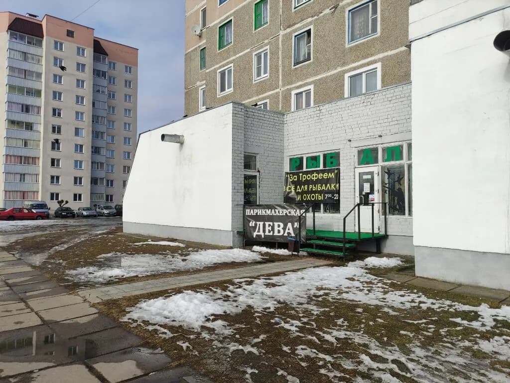 За трофеем — фото 5