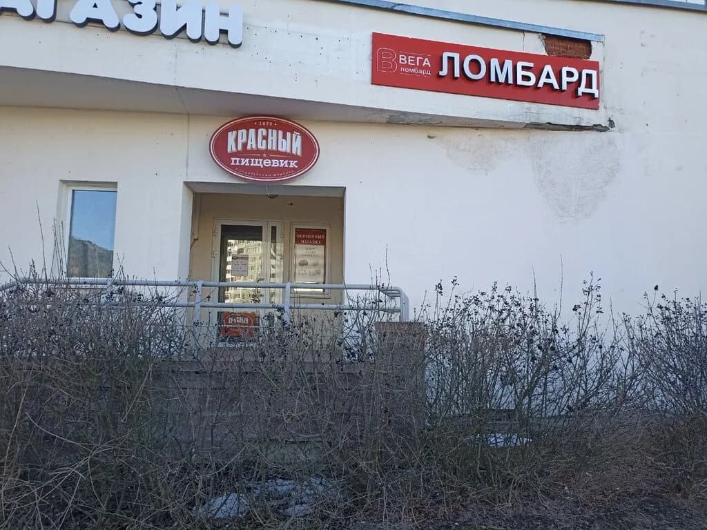 Красный пищевик — фото 4