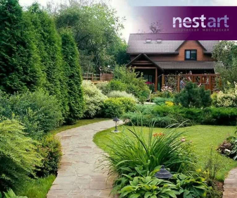 Nest Art