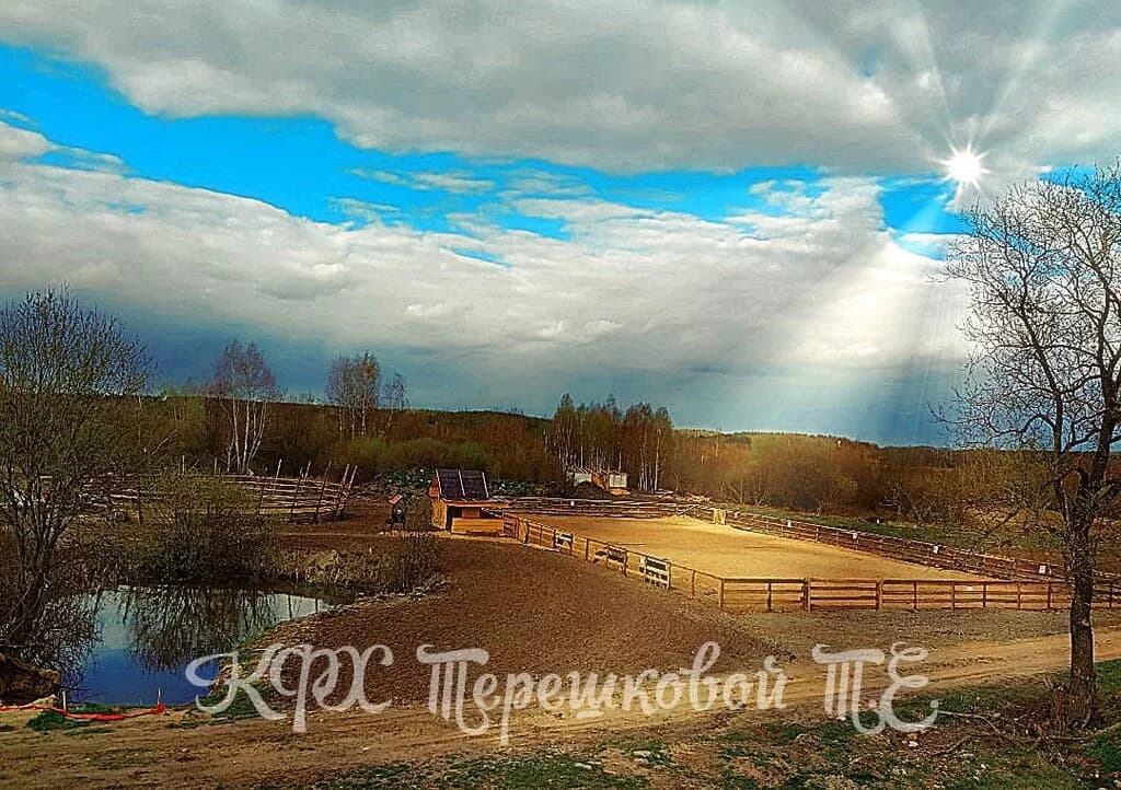 Иппотерапия Бел