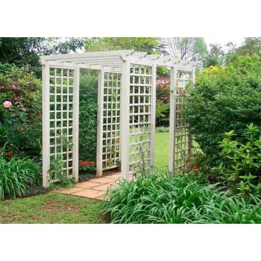 Лес Мира — фото 5